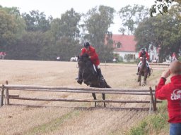 IMG_8344_web